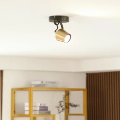 Lindby downlight de techo Sylveria, 1 luz, negro/oro, hierro