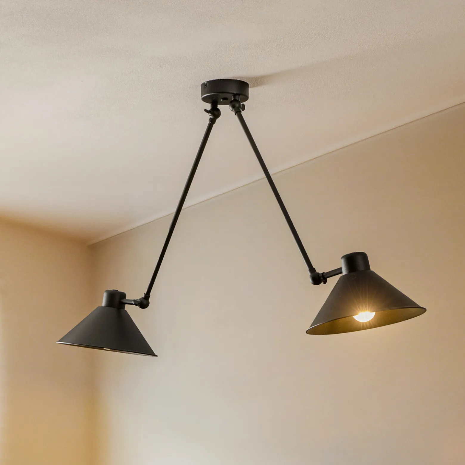 Lámpara colgante Alan, móvil, negro, 2 luces