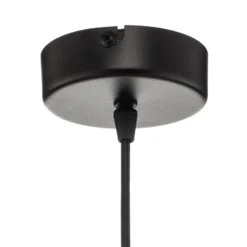 Lámpara colgante Larus de acero negro, 1 luz