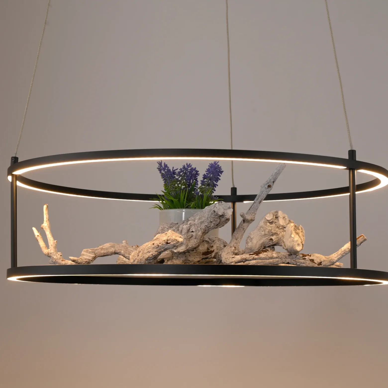 Lámpara colgante LED Conni de Paul Neuhaus, negra, Ø 50 cm