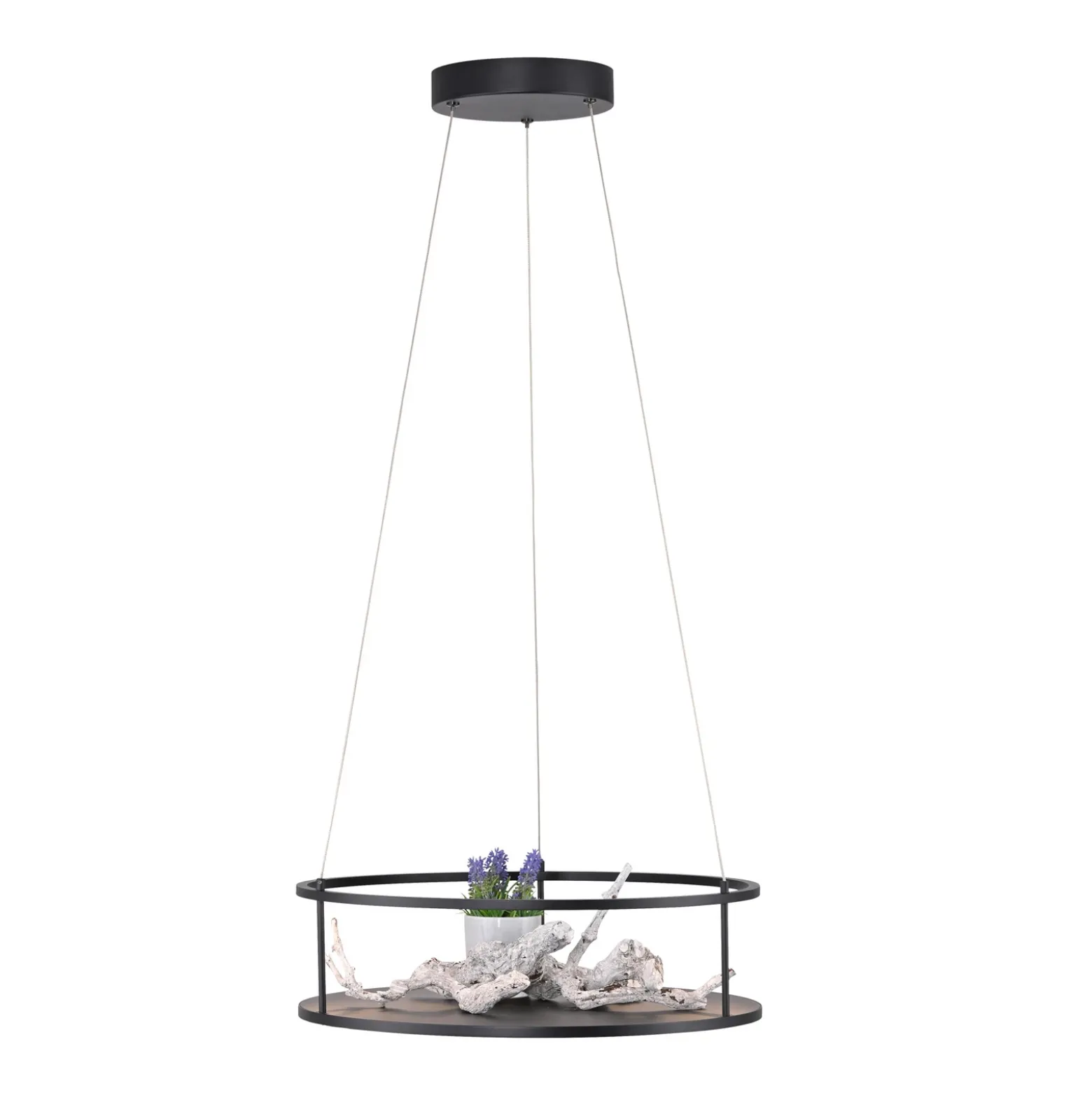 Lámpara colgante LED Conni de Paul Neuhaus, negra, Ø 50 cm