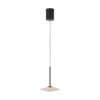 Lámpara colgante LED Elipsa de Paul Neuhaus, 1 luz, blanco/negro