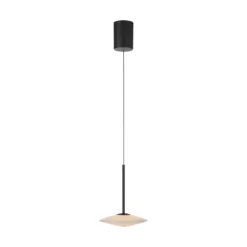 Lámpara colgante LED Elipsa de Paul Neuhaus, 1 luz, blanco/negro