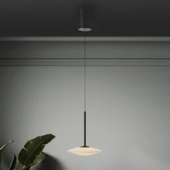 Lámpara colgante LED Elipsa de Paul Neuhaus, 1 luz, blanco/negro