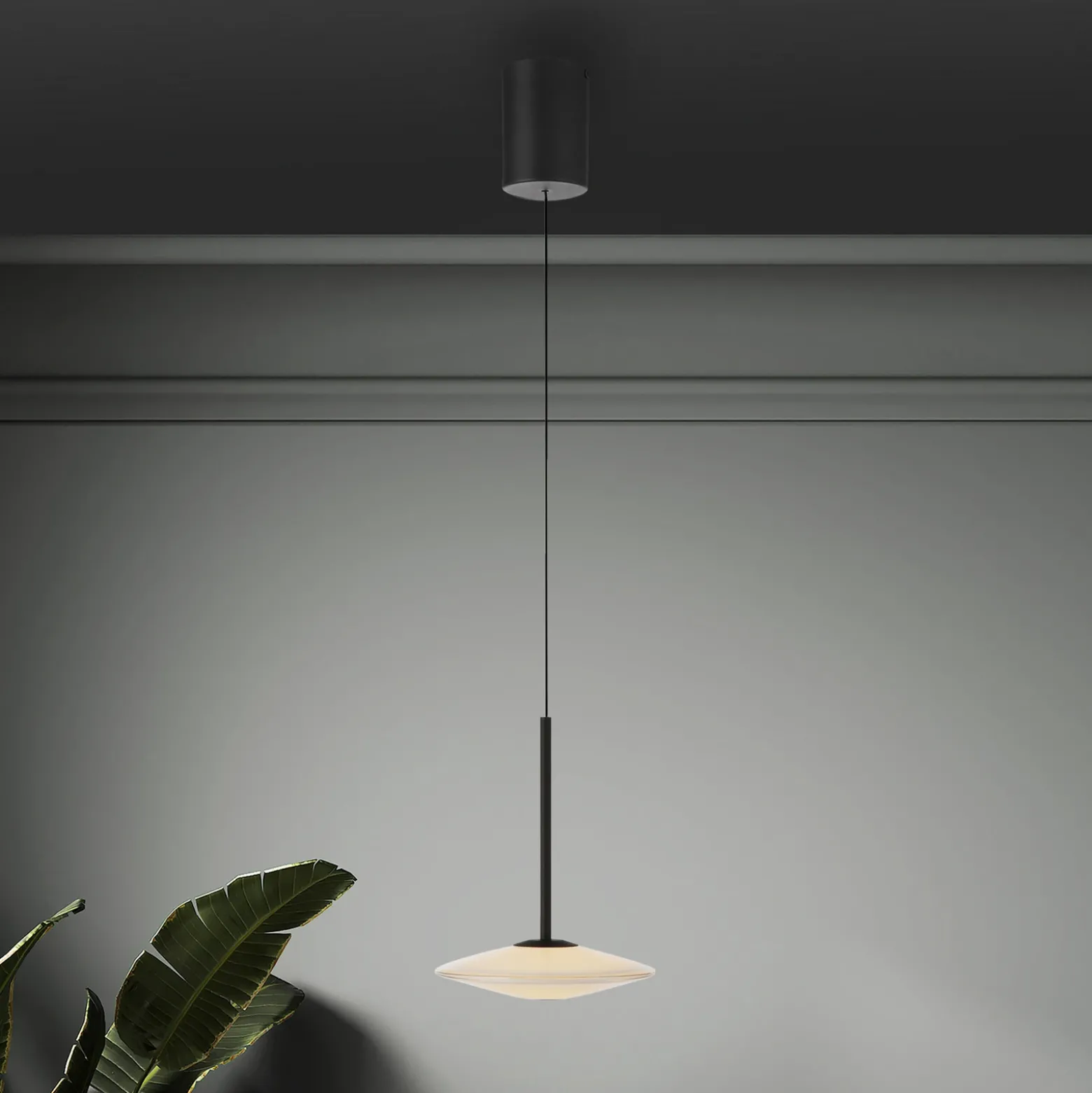 Lámpara colgante LED Elipsa de Paul Neuhaus, 1 luz, blanco/negro