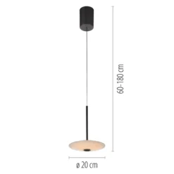 Lámpara colgante LED Elipsa de Paul Neuhaus, 1 luz, blanco/negro