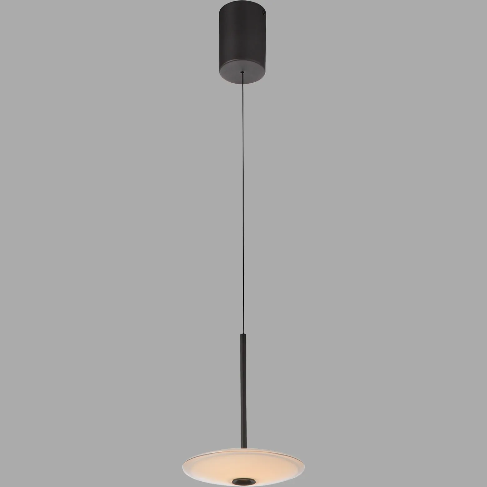 Lámpara colgante LED Elipsa de Paul Neuhaus, 1 luz, blanco/negro