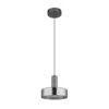 Lámpara colgante LED Grant, Ø 22 cm, gris humo, cristal