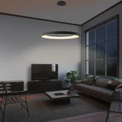 Lámpara colgante LED inteligente Niseko II, 50 cm, negra, CCT, atenuable
