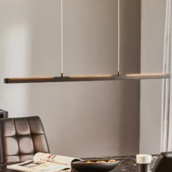 Lámpara colgante LED Lento de Paulmann, negra, 100 cm, luz hacia arriba/abajo,