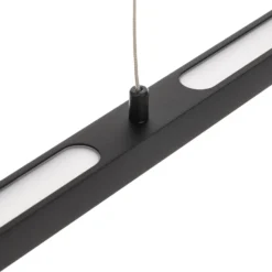Lámpara colgante LED Lento de Paulmann, negra, 100 cm, luz hacia arriba/abajo,