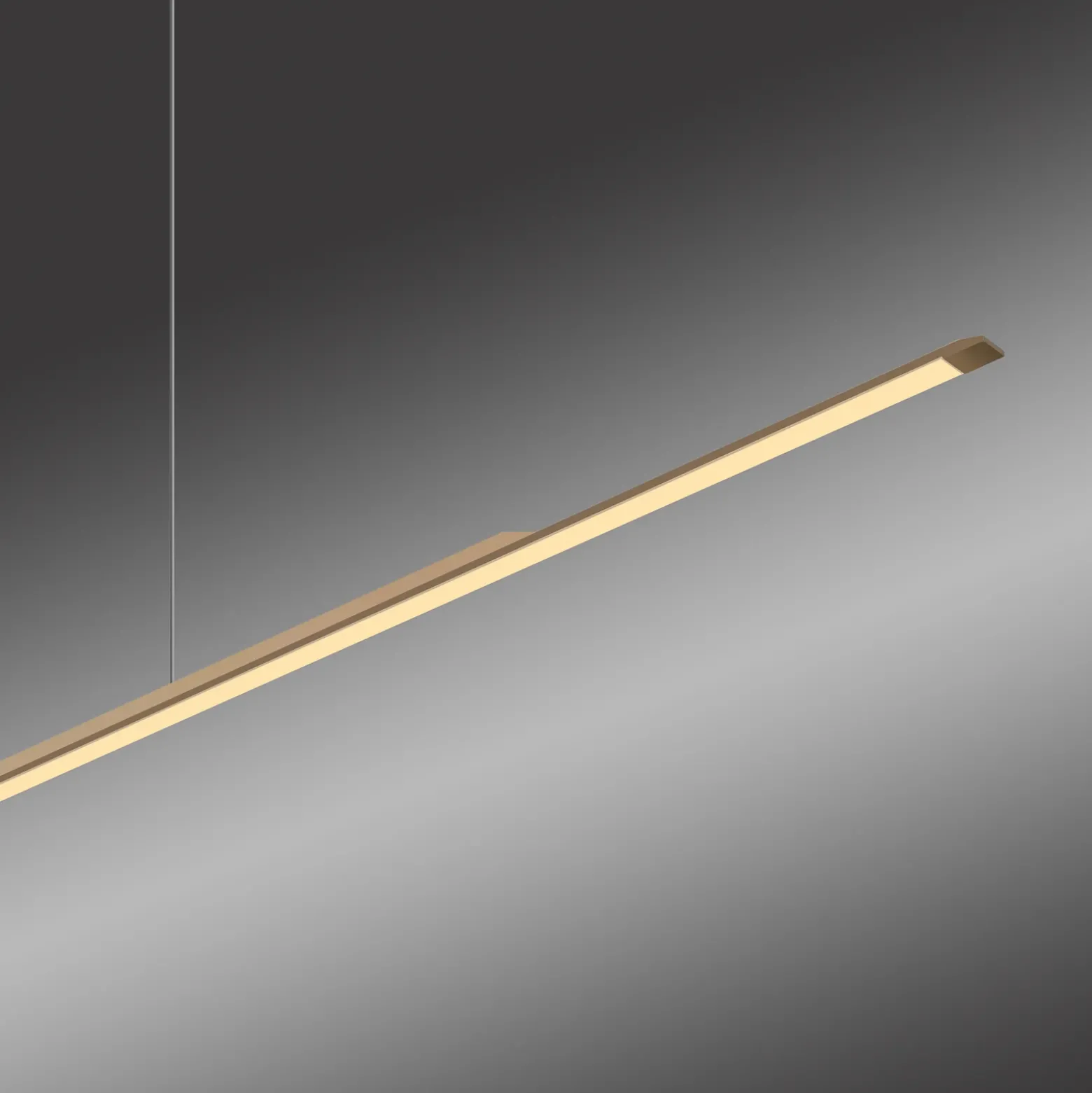 Lámpara colgante LED PURE Surface, bronce, 160 cm, aluminio, 3000 K