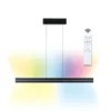 Lámpara colgante LED Raiko de Paulmann, negra, 100 cm, RGBW, atenuable.