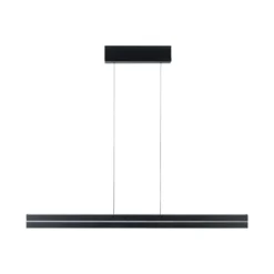 Lámpara colgante LED Raiko de Paulmann, negra, 100 cm, RGBW, atenuable.