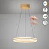 Lámpara colgante LED Silvio, Ø 50 cm, color arena, metal, CCT,