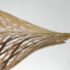 Lámpara colgante Madura de GOOD & MOJO, Ø 60 cm, color natural/marrón, bambú