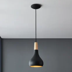 Lámpara colgante Sabinar, 1 luz, negra, Ø 18 cm
