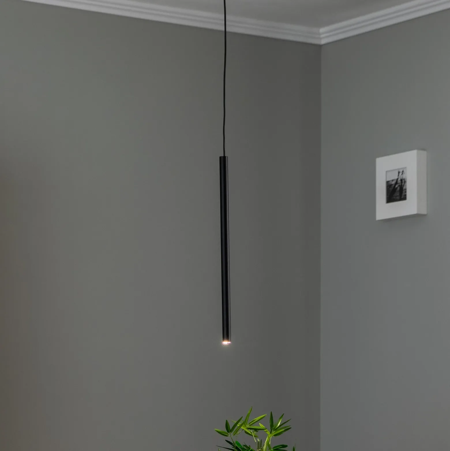 Lámpara colgante Sid, 1 luz, negro