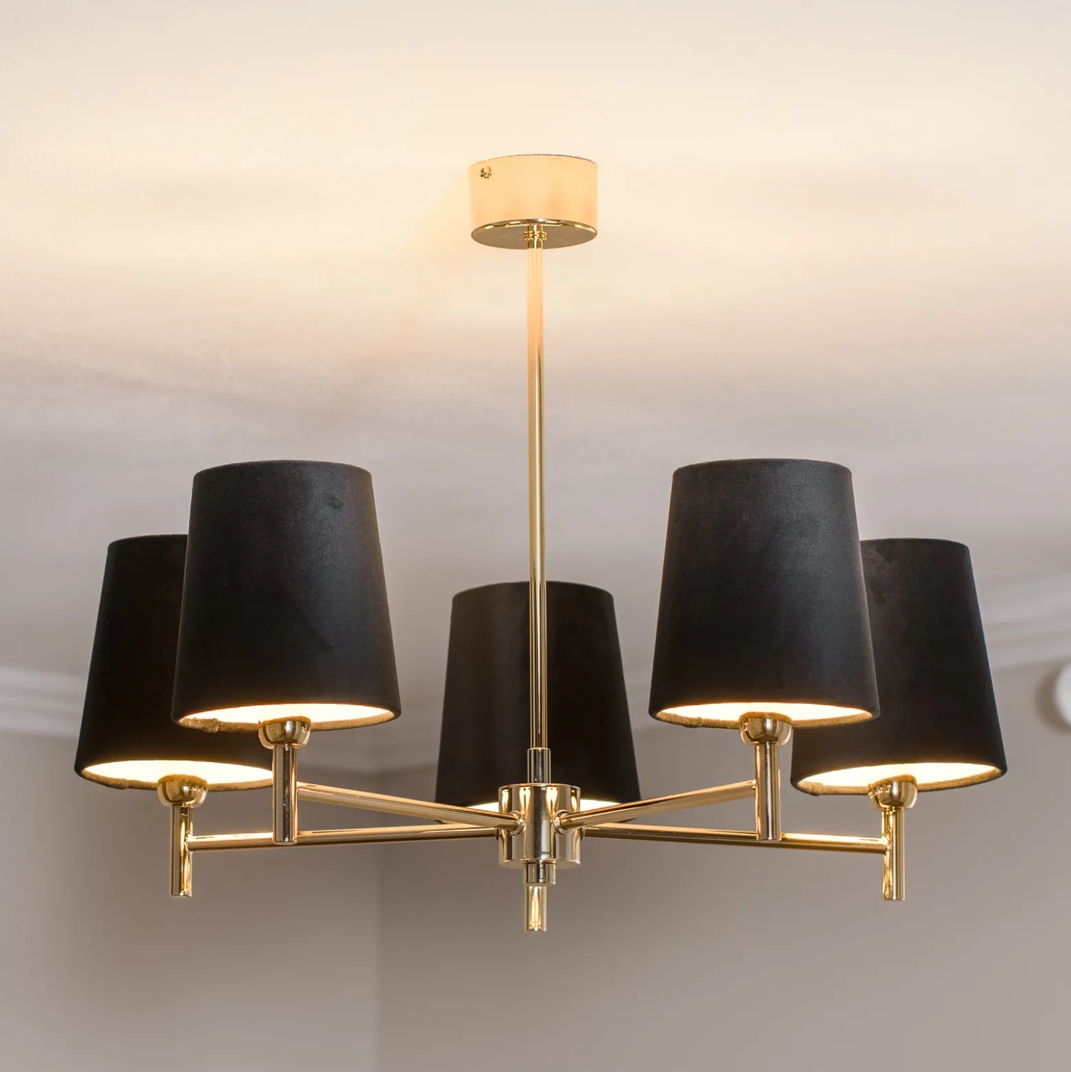 Lámpara de araña Euluna Nita, negro/dorado, 5 luces
