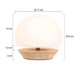 Lámpara de mesa Ancilla, madera, vidrio, haya, blanco opal, portalámpara G9