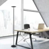 Lámpara de pie LED MAULsphere, negro, atenuable, altura 183 cm