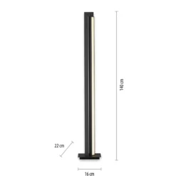 Lámpara de pie LED PURE Lines, antracita, control remoto, 140 cm