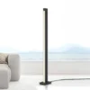 Lámpara de pie LED PURE Lines, antracita, control remoto, 140 cm