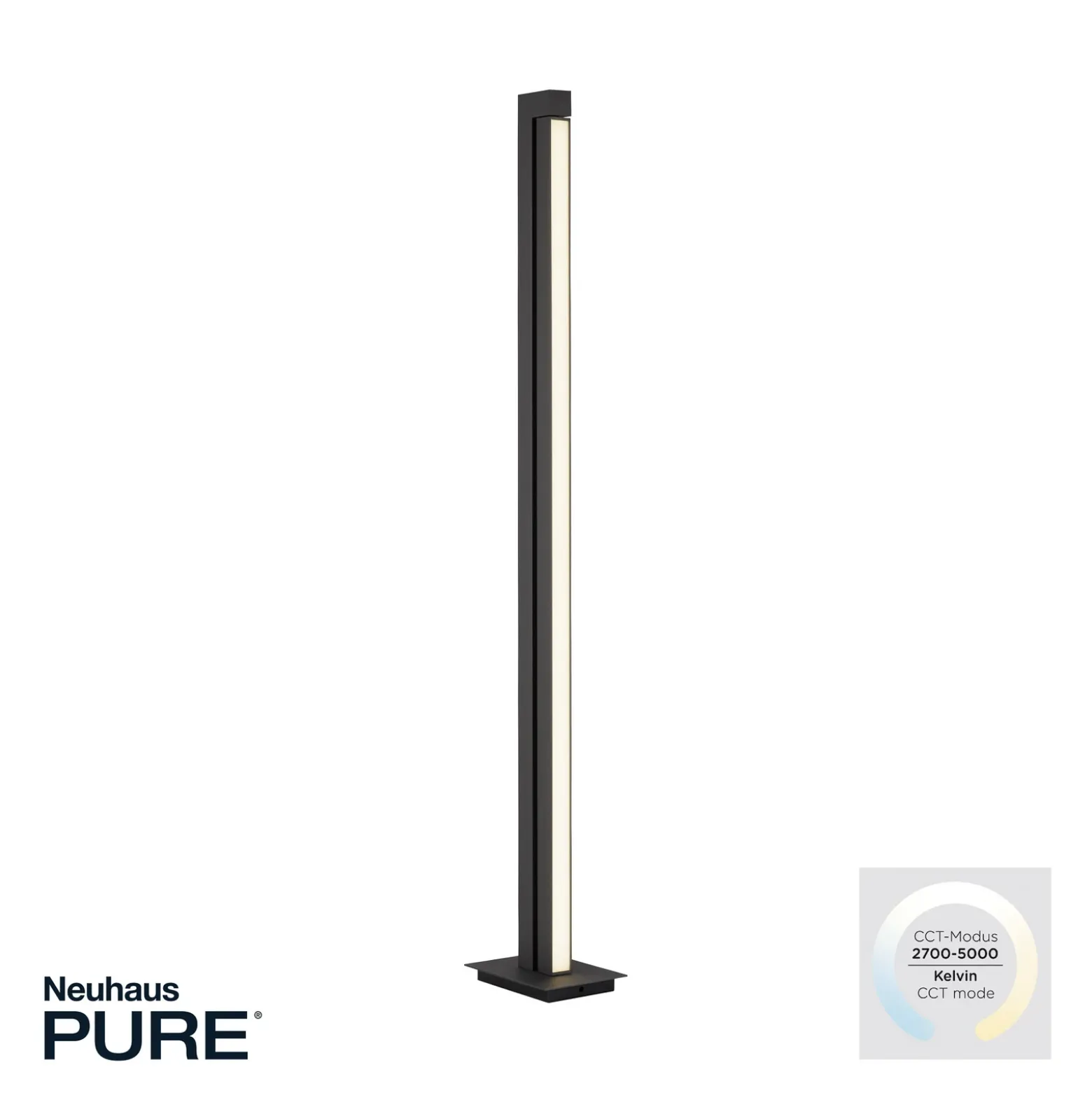 Lámpara de pie LED PURE Lines, antracita, control remoto, 140 cm