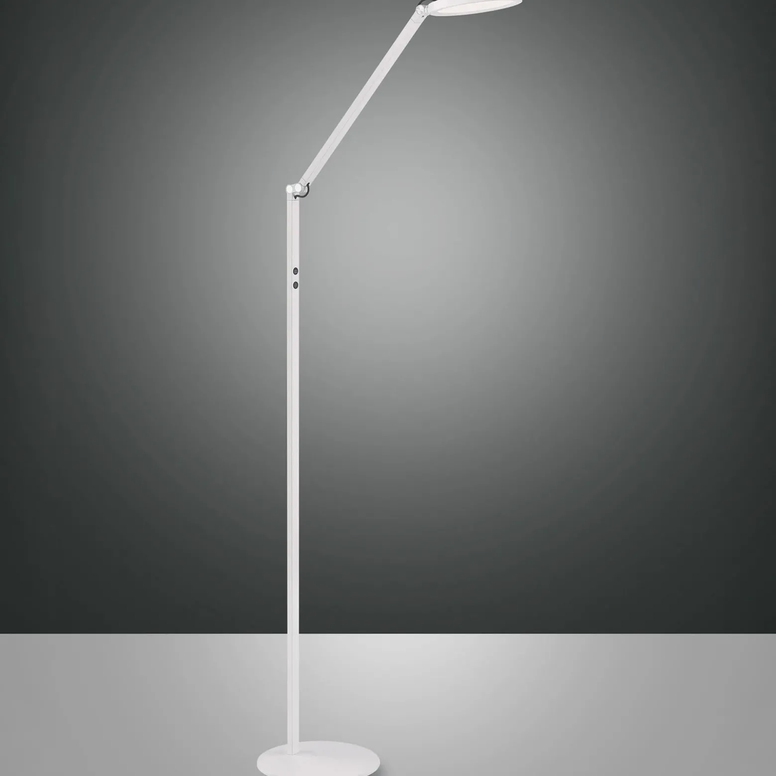 Lámpara de pie LED Regina, 1 luz, blanco