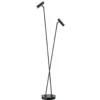 Lámpara de pie LED Tom, 2 luces, negro