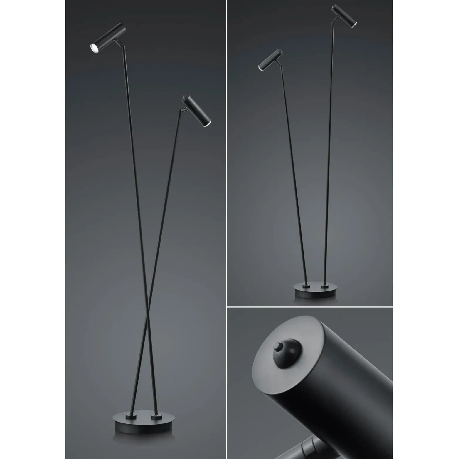 Lámpara de pie LED Tom, 2 luces, negro