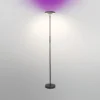 Lámpara de pie LED WiFi OSRAM SMART+, negra, arriba/abajo, RGB CCT