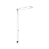 Lámpara de pinza LED MAULjura, blanca, aluminio, atenuable, 100 cm