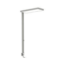 Lámpara de pinza LED MAULjura, color plateado, atenuable, 100 cm
