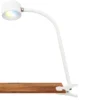 Lámpara de pinza recargable LED Tari, blanca, CCT, regulador táctil, USB