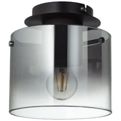 Lámpara de techo Beth, pantalla vidrio humo, 1 luz