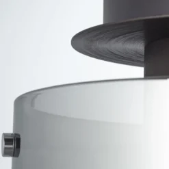 Lámpara de techo Beth, pantalla vidrio humo, 1 luz