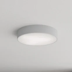 Lámpara de techo Cleo 400, gris, sensor, IP54, Ø 40 cm, metal