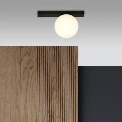 Lámpara de techo Fit, negro/ópalo, 1 luz