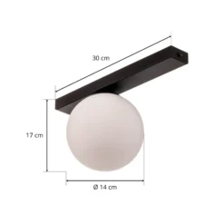 Lámpara de techo Fit, negro/ópalo, 1 luz