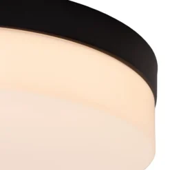 lámpara de techo LED para baño Biskit, negro, Ø 23 cm, plástico