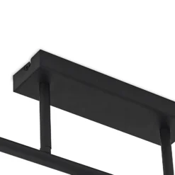 Lámpara de techo Lindby Biscala, 5flg., negro/opal