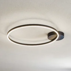 Lámpara LED de techo Giotto, 1 luz, negro