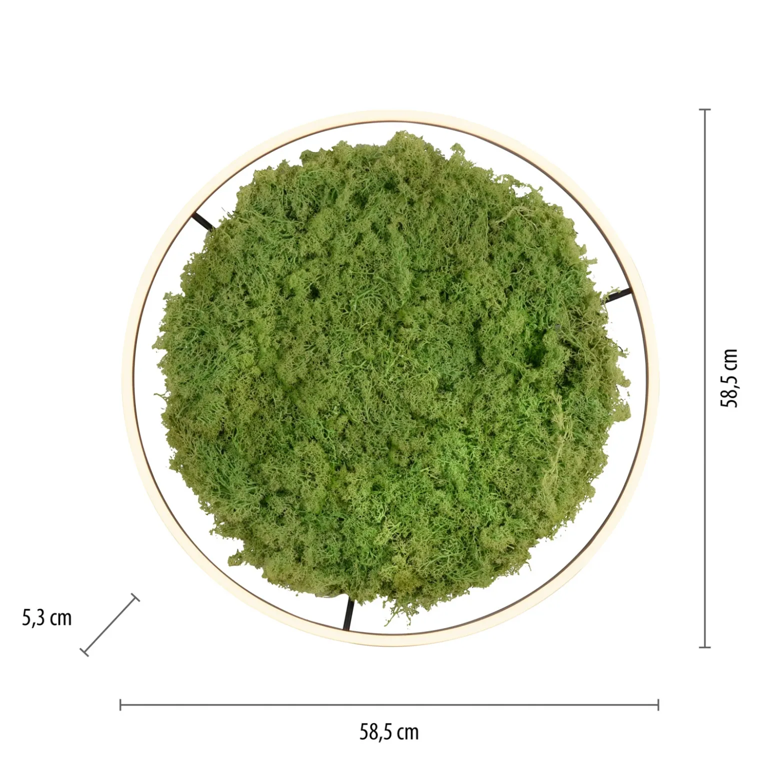 Lámpara LED de techo Green Ritus, musgo atenuable Ø58,5cm