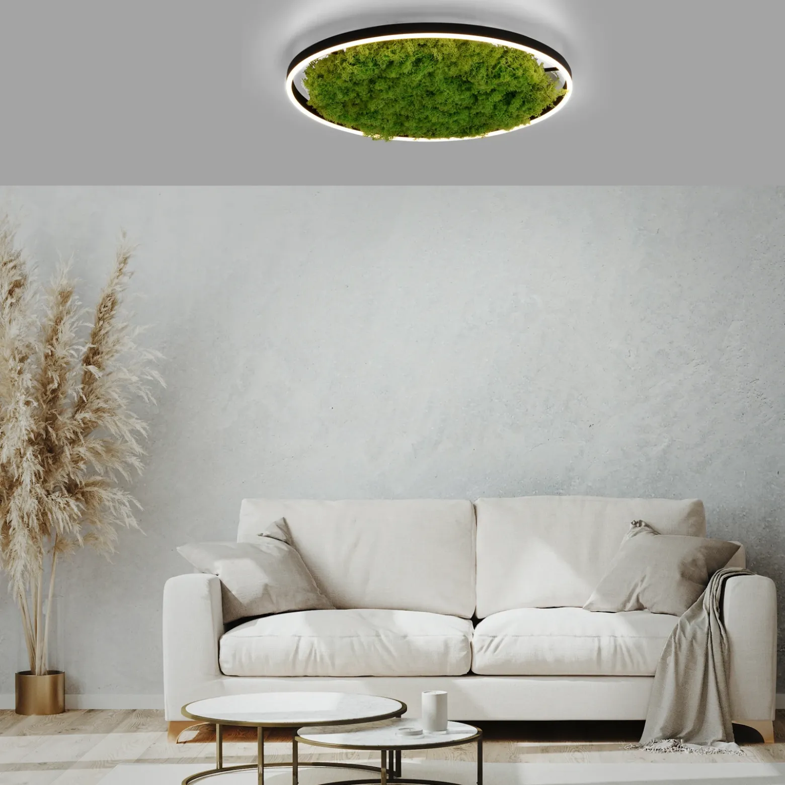 Lámpara LED de techo Green Ritus, musgo atenuable Ø58,5cm