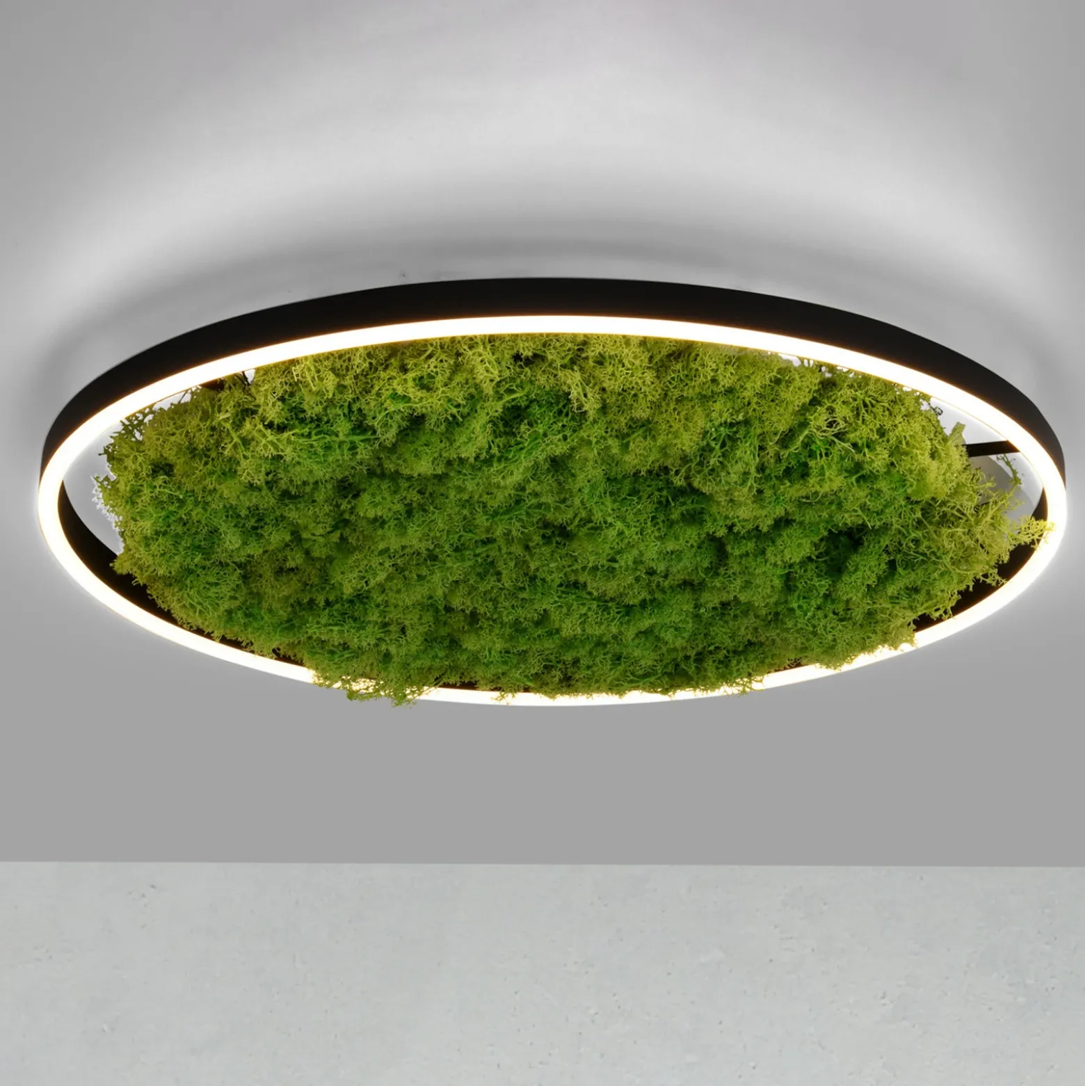 Lámpara LED de techo Green Ritus, musgo atenuable Ø58,5cm