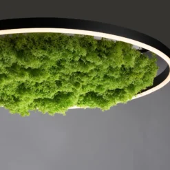Lámpara LED de techo Green Ritus, musgo atenuable Ø58,5cm