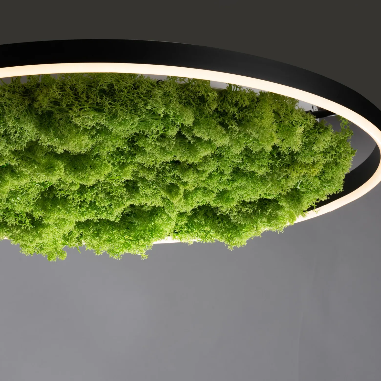 Lámpara LED de techo Green Ritus, musgo atenuable Ø58,5cm
