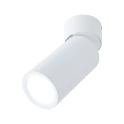 Lámpara LED de techo Paulmann Turnal Coin, blanca, metal, 2700 K