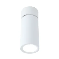 Lámpara LED de techo Paulmann Turnal Coin, blanca, metal, 2700 K